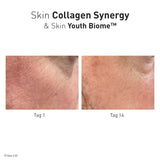 Advanced Nutrition Programme - Skin Collagen Synergy - Nahrungsergänzung - Advanced Nutrition Programme - ZEITWUNDER Onlineshop - Kosmetik online kaufen